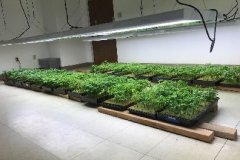 新宝gg一键登录